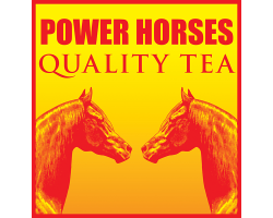 power horses logo